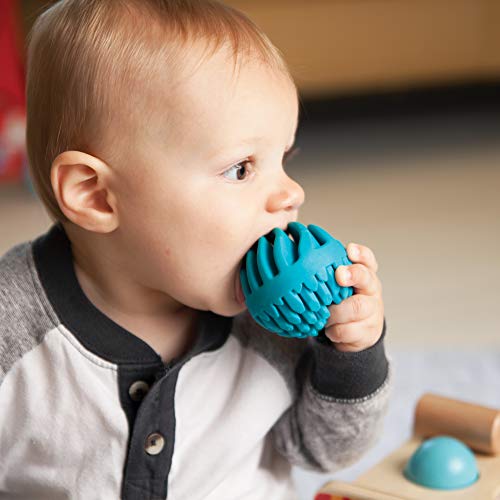2 Fat+Brain+Toys+Sensory+Rollers