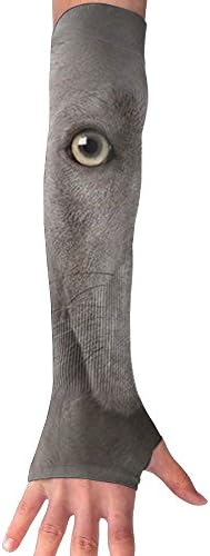 Dog Cooling Arm Compression Long Sleeve Sun Guard - For Women, Men, Kid &amp; Youth - For Outdoor Cycling Bicycle