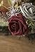 Ling’s Moment Artificial Flowers 50Pcs Dark Burgundy Roses Decor w/Stems,3