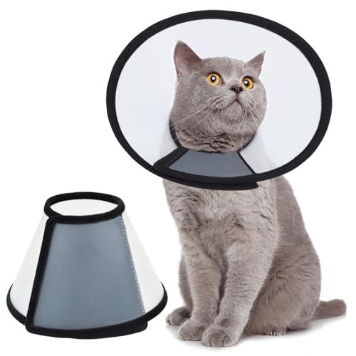 Vivifying Pet Recovery Collar M