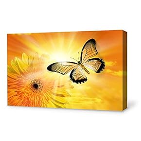 Wall26-Canvas Wall Art-Beautiful Butterfly-Giclee Painting Wall Art for Bedroom Living Room Home Decoration - 12x18 inches
