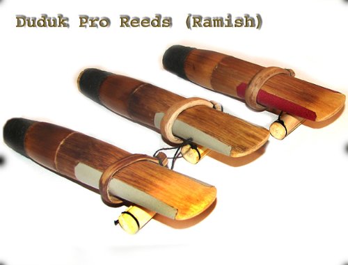 Set of 3 REEDS for Duduk --- Armenian Professional Duduk REED Ramish -- Flute Oboe Mey Zurna Kaval