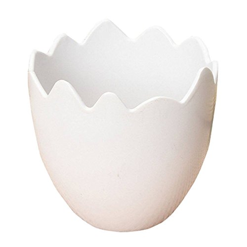 BUYEONLINE Egg Shaped Flower Plant Pot Container Planter Holder Home Office Garden Decor White