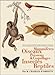 Les planches du Dictionnaire d'Histoire Naturelle - Coffret 5 vol. (French Edition) by 