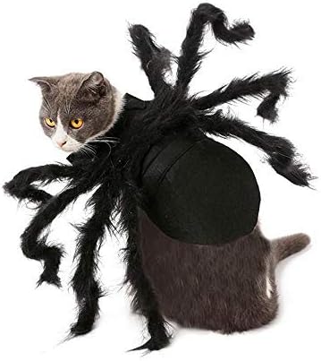 Mogoi Costume Araignee Pour Animaux De Compagnie Halloween Animaux Simulation Peluche Araignee Vetir Avec Boucle De Pate Ajustable Au Cou Pour Chiens Chats Spider Amazon Fr Animalerie