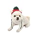 HBuir Handmade DIY Pet Dog Santa Hat Christmas Gifts for Cat