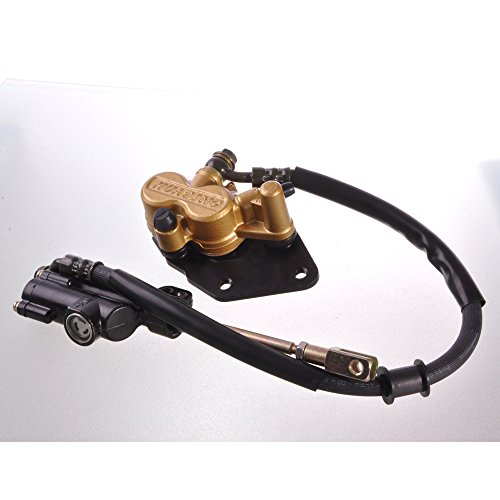 image for Wotefusi Brand New Rear Brake System Brake Disc Rotor Disk Kit Set Dir