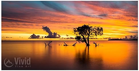 Ocean sunset photography with mangrove tree.