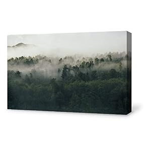 SIGNFORD Canvas Wall Art for Living Room,Bedroom Home...