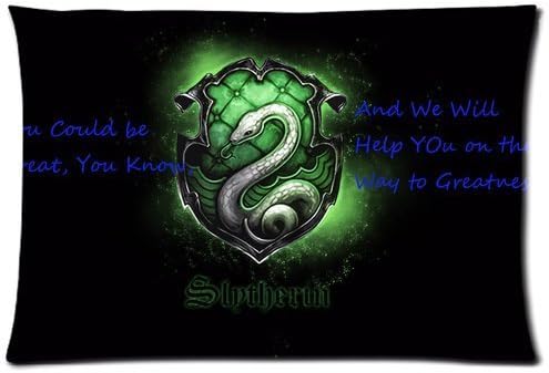 Cool Boys Harry Potter Slytherin Symbol Custom Design Pillowcase Decoration Pillow Case Cushion Case Size 20 Inches