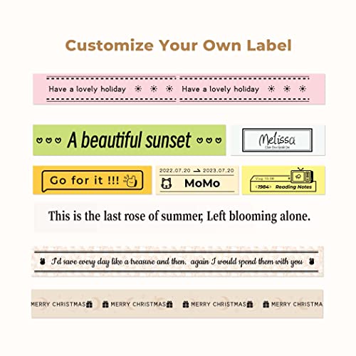 NIIMBOT H1S Label Maker Machine with Tape, 0.47