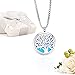Essential Oil Diffuser Aromatherapy Necklace,Stainless Steel Magnetic Pendant Locket Necklaces with 26