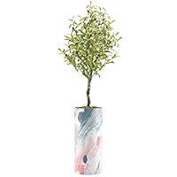 SIGNWIN Olive Tree with Pink, Blue & Gray Watercolor Brushstroke Splatter Vase Abstract Shapes Minimalism Zen Colorful Multicolor Ultra for Living Room, Bedroom, Office - X-Large 5 Feet (60