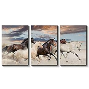 3 Panel Canvas Wall Art Beautiful White Horse Canvas Prints Painting Wall Decor for Living Room Wooden Framed Home Decorations - 16"x24" x 3 Panels