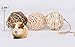 Hamiledyi Small Animal Toy Ball，Grass Ball for Pets，Funny Activity Toy Balls(Pack of 4)
