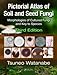 Pictorial Atlas of Soil and Seed Fungi: Morphologies of Cultured Fungi and Key to Species,Third Edition (Mycology)