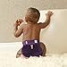 gDiapers gREGAL Limited Cloth Diaper gPant (medium (13-28 lbs))
