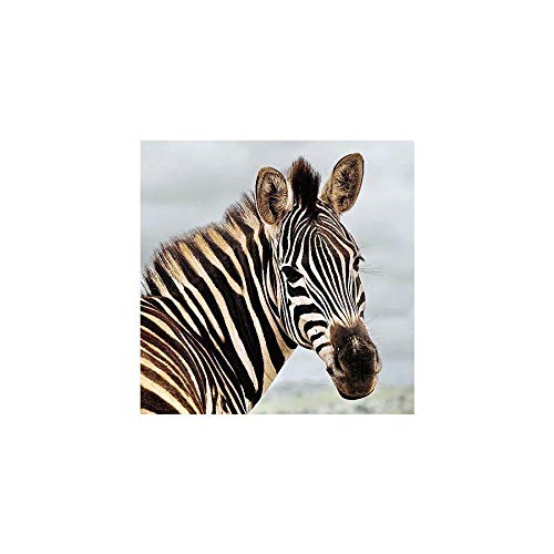 Carte Blanche 3D Holographic Card - Up Close - Zebra
