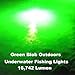 Green Blob Outdoors Fishing Light New (Green 15000 Lumen) Pro 15DX Dock Underwater LED, w/ 30ft Cord, LED, Fish Attractor, Crappie, Snook, Bass, Catfish (15,000 3-Prong Plug, Green)