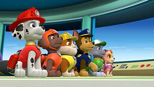 Paw Patrol Hörspielbox 2: Zehn Episoden auf drei CDs – Bild 3