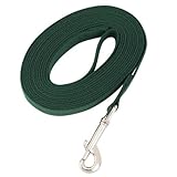 Guardian Gear Cotton Web Dog Training Lead 15'x5/8