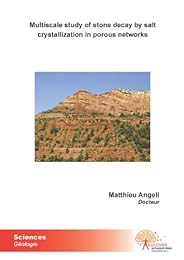 Multiscale study of stone decay by salt crystallization in porous networks