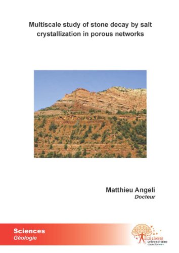 Multiscale study of stone decay by salt crystallization in porous networks