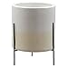 Amazon Brand – Rivet Mid-Century Ceramic Planter with Stand, 18.9