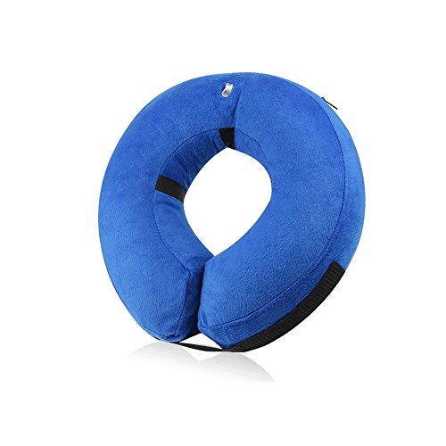 5 Best ECollars for Dogs Helping With Healing (2019 Reviews)