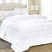Equinox All-Season White Quilted Comforter - 88 x 88 Inches - Goose Down Alternative Queen Comforter - Duvet Insert Set - Machine Washable - Plush Microfiber Fill (350 GSM) primary