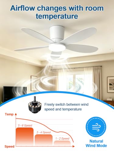 AILRINNI Ventilateur de Plafond 107 CM avec Lumière RGB, Bas Profil Encastrable, Télécommande et APP, 5 Pales Réversibles, RGB+3 Températures de Couleur, Dimmable Ventilateur LED pour Salon Chambre