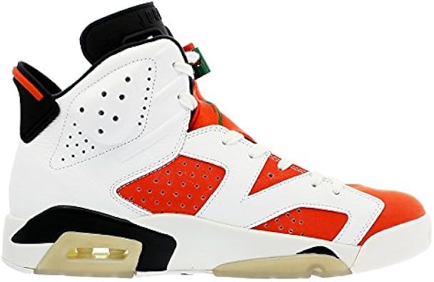 jordan 6 like mike