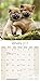Shiba Inu Calendar - Dog Breed Calendars - 2017 - 2018 wall Calendars - 16 Month by Avonside