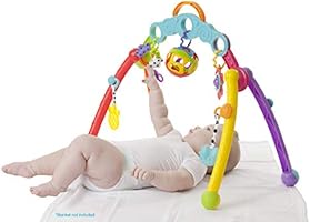 playgro fold and go play gym