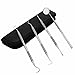 Queentools Stainless Steel Dentists Kit, 4 Tools Tartar Remover, Dental Pick Hygiene Set for Personal Use, Protection Case, Black