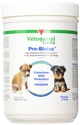 pro biolac kitten formula