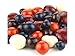 SweetGourmet Chocolate Fruit Basket (Apples, Apricots, Blueberries, Cherries & Cranberries) (1Lb)