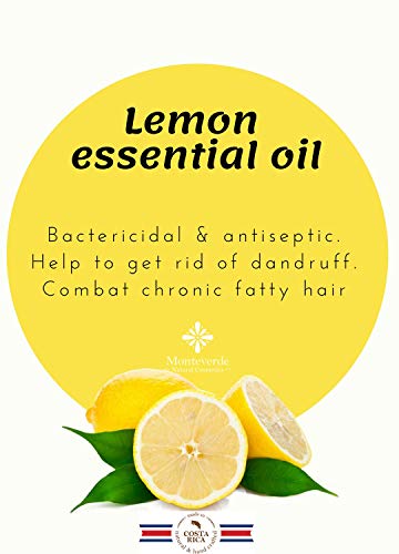 Papaya & Beeswax Hair conditioner (14 oz)- With Lemon and Ylang Ylang essential oil, Avocado extract- For soft and shine hair - Sulfate, Paraben free- With natural ingredients - Moisturizing.
