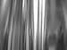 Silver Metallic Stretch Spandex Fabric 60