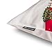 Phantoscope New Merry and Presents Series Throw Pillow Cushion Cover (County)
