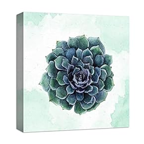 Green Succulent Green Abstract Background - Canvas Art