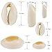 PP OPOUNT 169 Pieces Natural Spiral Shell Beads Kit with Natural Open Back Shells, Plastic Pearls, Silver Lobster Clasp, Silver Extension Chain and Accessories for Shell Chocker Making