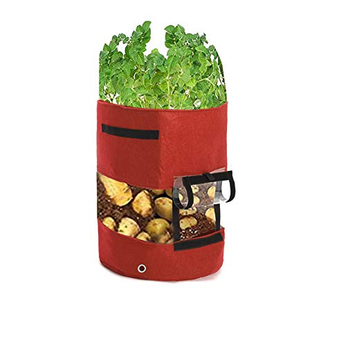 Zedco 1PC Red Plant Grow Bags by Thickened PVC and Nonwoven Fabric for Potato/Plant Pots with Transparent Window