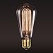 Original Edison Vintage Bulbs - 6 pack - Blaze Bulbs - 60W Incandescent Industrial Bulb - 250 lumens - Clear Glass - Long Life Handmade ST64 Squirrel Cage - Dimmable