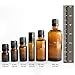 Plant Therapy Organic Rosemary Essential Oil 100% Pure, USDA Certified Organic, Undiluted, Natural Aromatherapy, Therapeutic Grade 30 mL (1 oz)