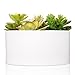 MyGift® 6 inch Realistic Artificial Faux Mixed Succulent Plants Arrangement w/White Round Ceramic Vase