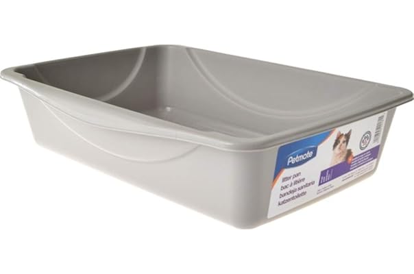 amazon best cat litter