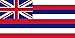 Hawaii Flag 3x5 Polyester - State Flag of Hawaii by SoCal Flags® - High Quality Weather Resistant Outdoor- Buy From an American Company!
