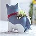 Planti Goodies Cute Animal Shaped Pot Adorable Dog Planter Cartoon Succulent Flower Pot Home Decoration Pot with Drainage (Husky Dog, Style C)