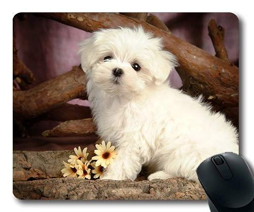 Gaming Mouse pad,Pet Friendly Cute Dog Free Download,Precision Seaming,Durable Mouse pad